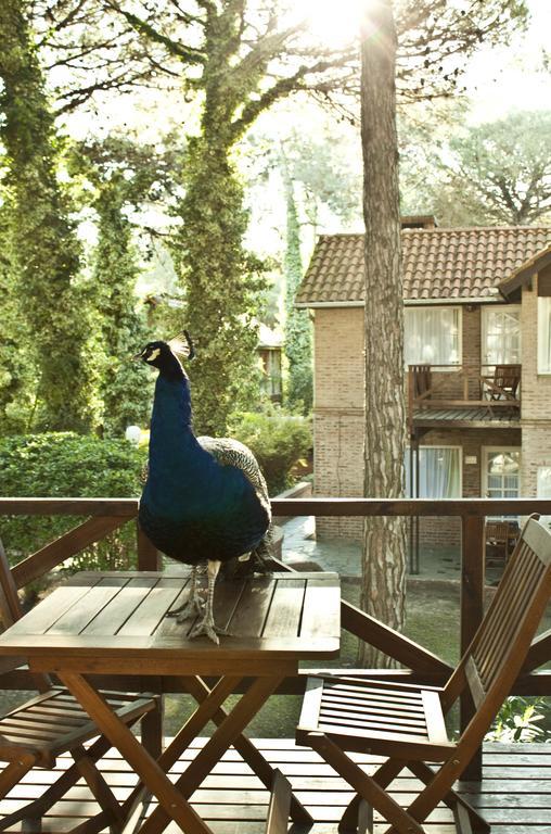 Carilo Village Apart Hotel & Spa Bilik gambar